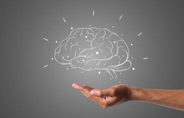 How the Brain processes Content Creation